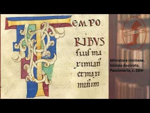 Codici e Libri Medievali: Un Tesoro di Conoscenza Antica